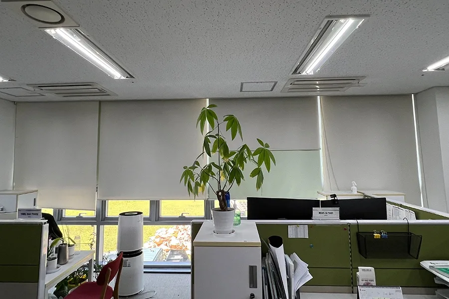 세종 교육기관 통유리 반사필름 시공 현장 사진 3